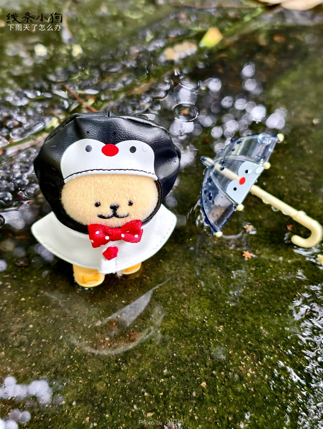 Maltese Rainy Days Series Blind Box